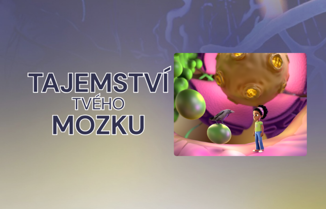 Tajemství tvého mozku
